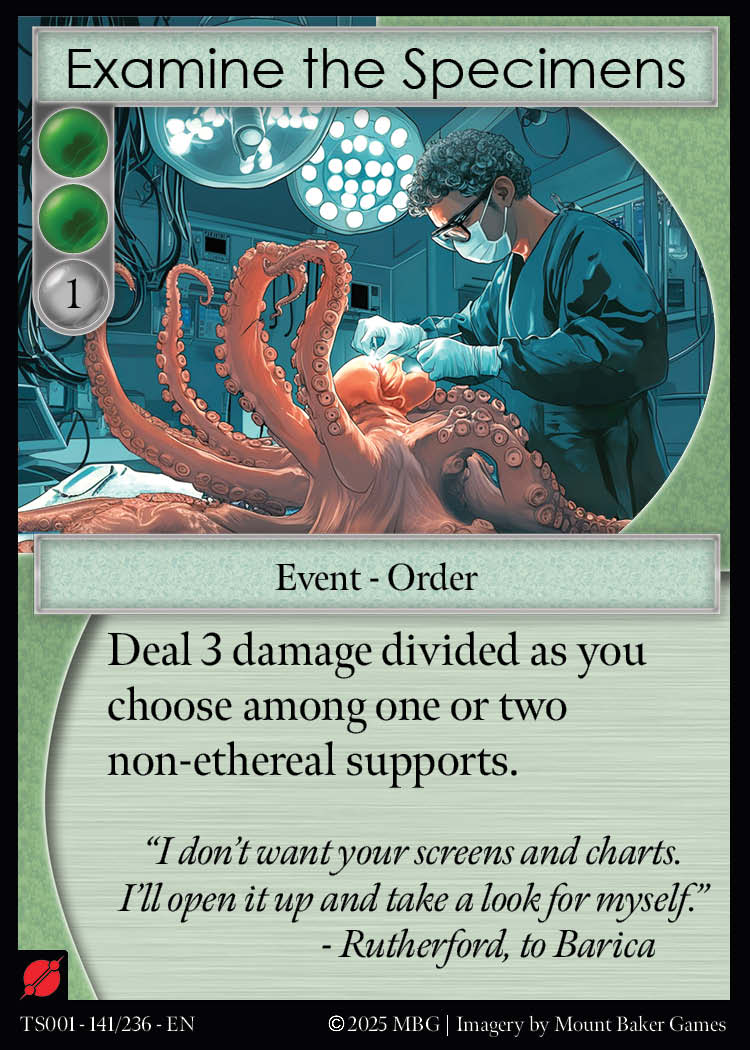 Examine the Specimens 